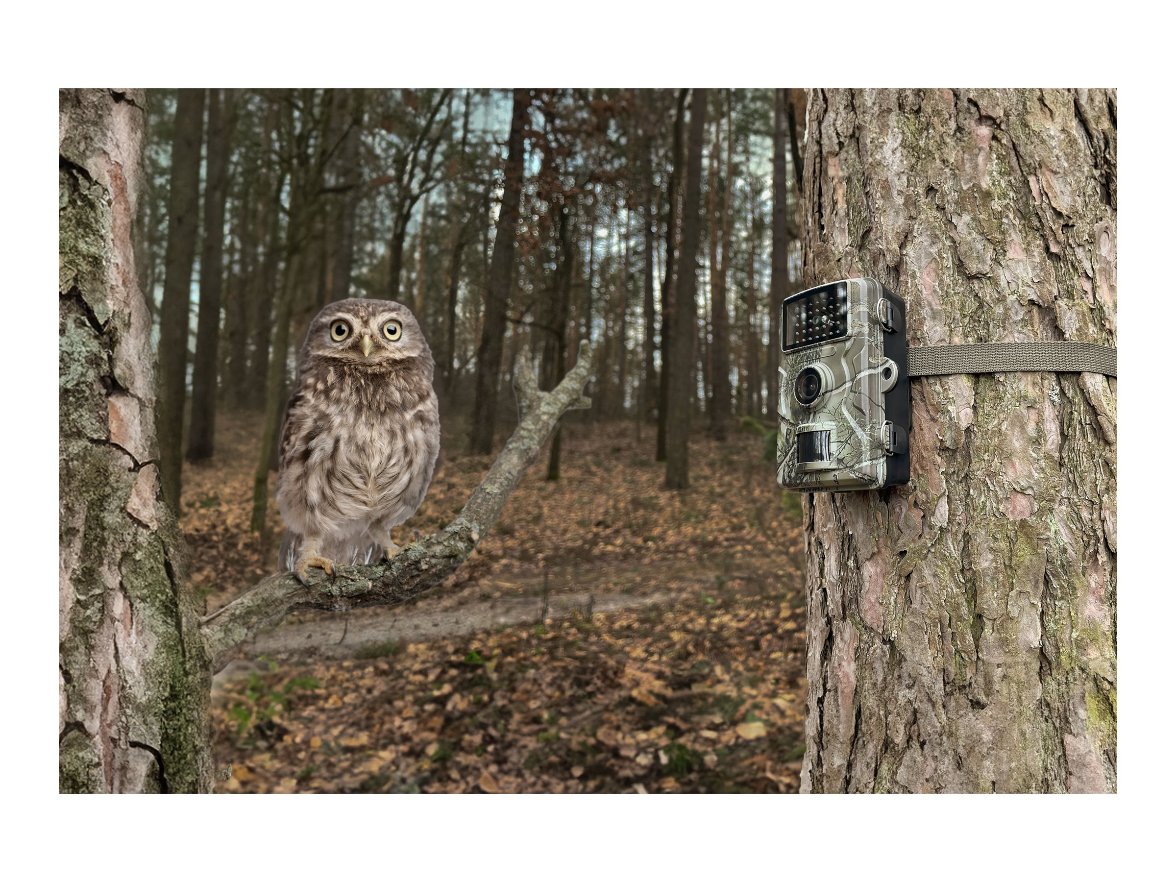 Technaxx Wildcam 1080p TX-256