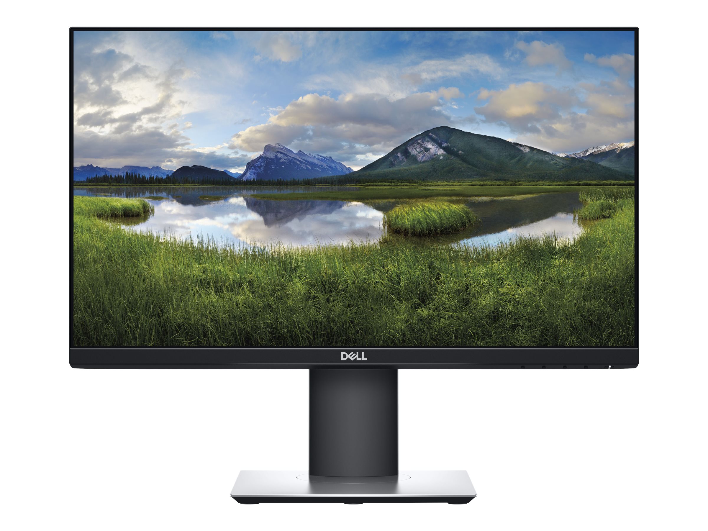Dell Professional P2219H 22'' Monitor