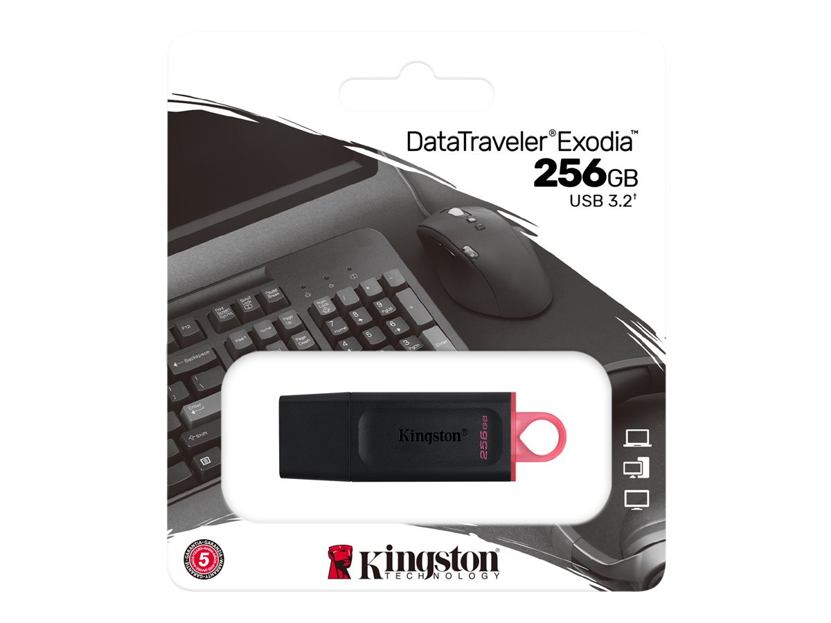 Kingston DataTraveler Exodia 256GB