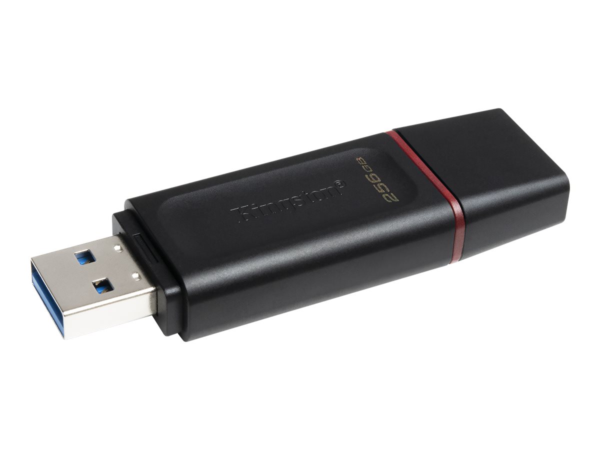 Kingston DataTraveler Exodia 256GB