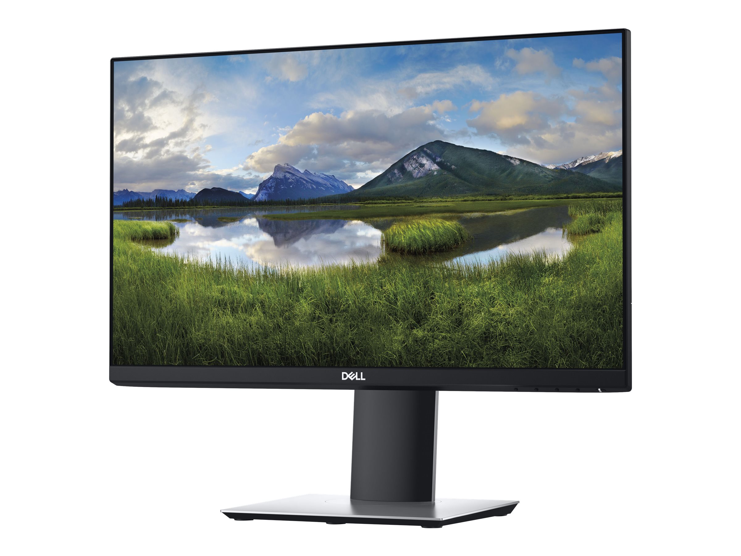 Dell Professional P2219H 22'' Monitor