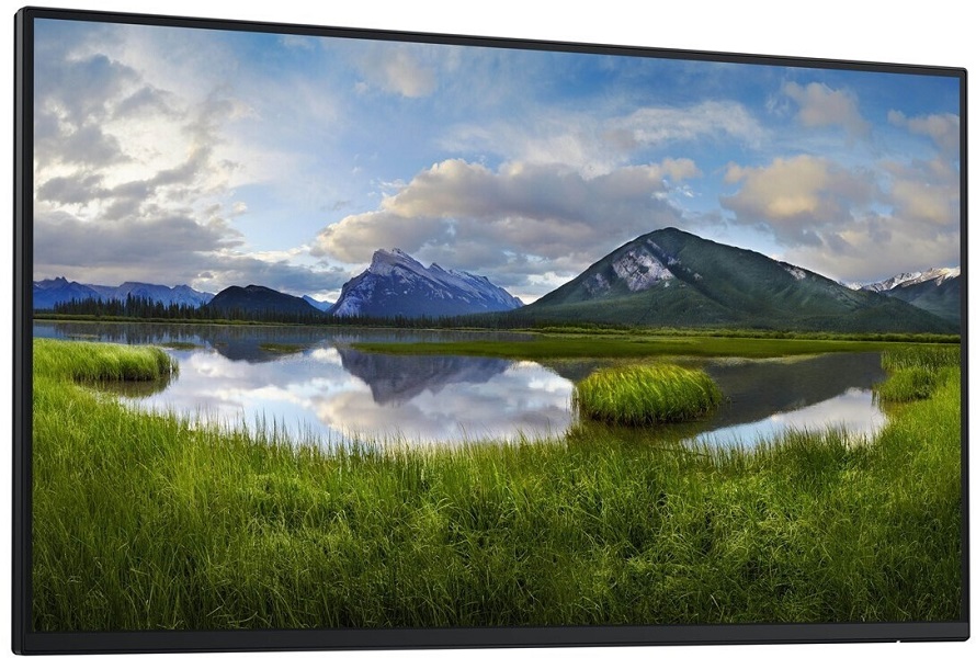 Dell P2425H 23,8" 100Hz Monitor